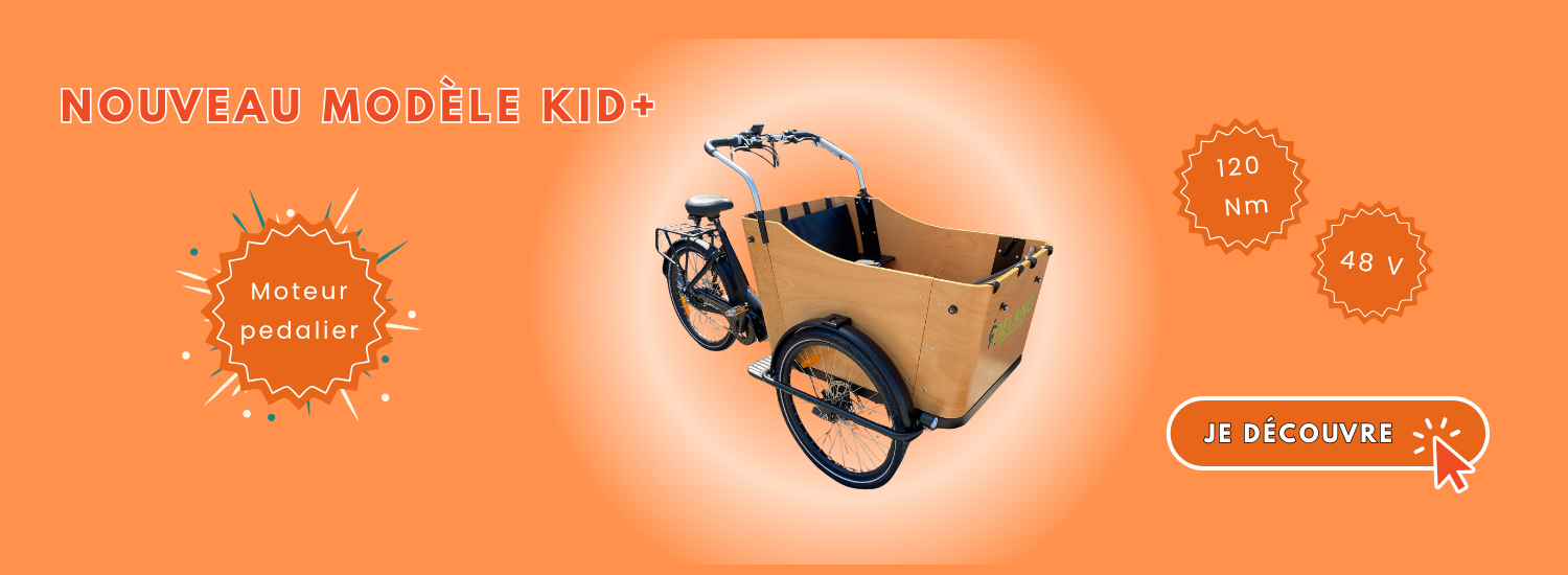 Triporteur vélo cargo 